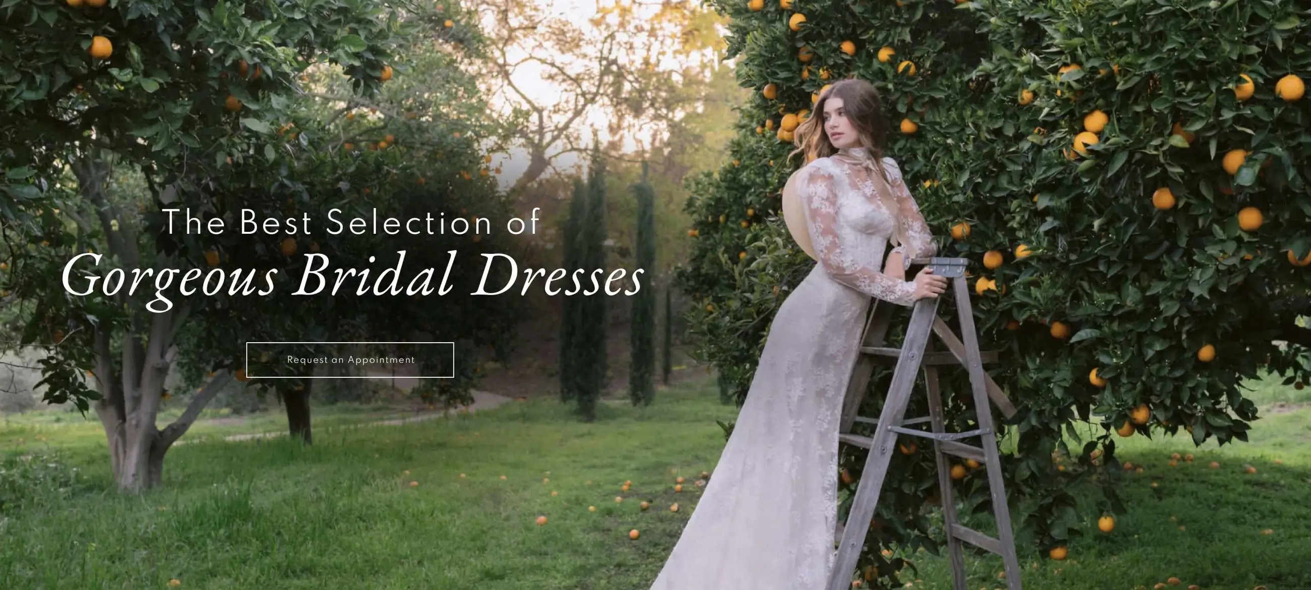 Galia Lahav Banner Desktop