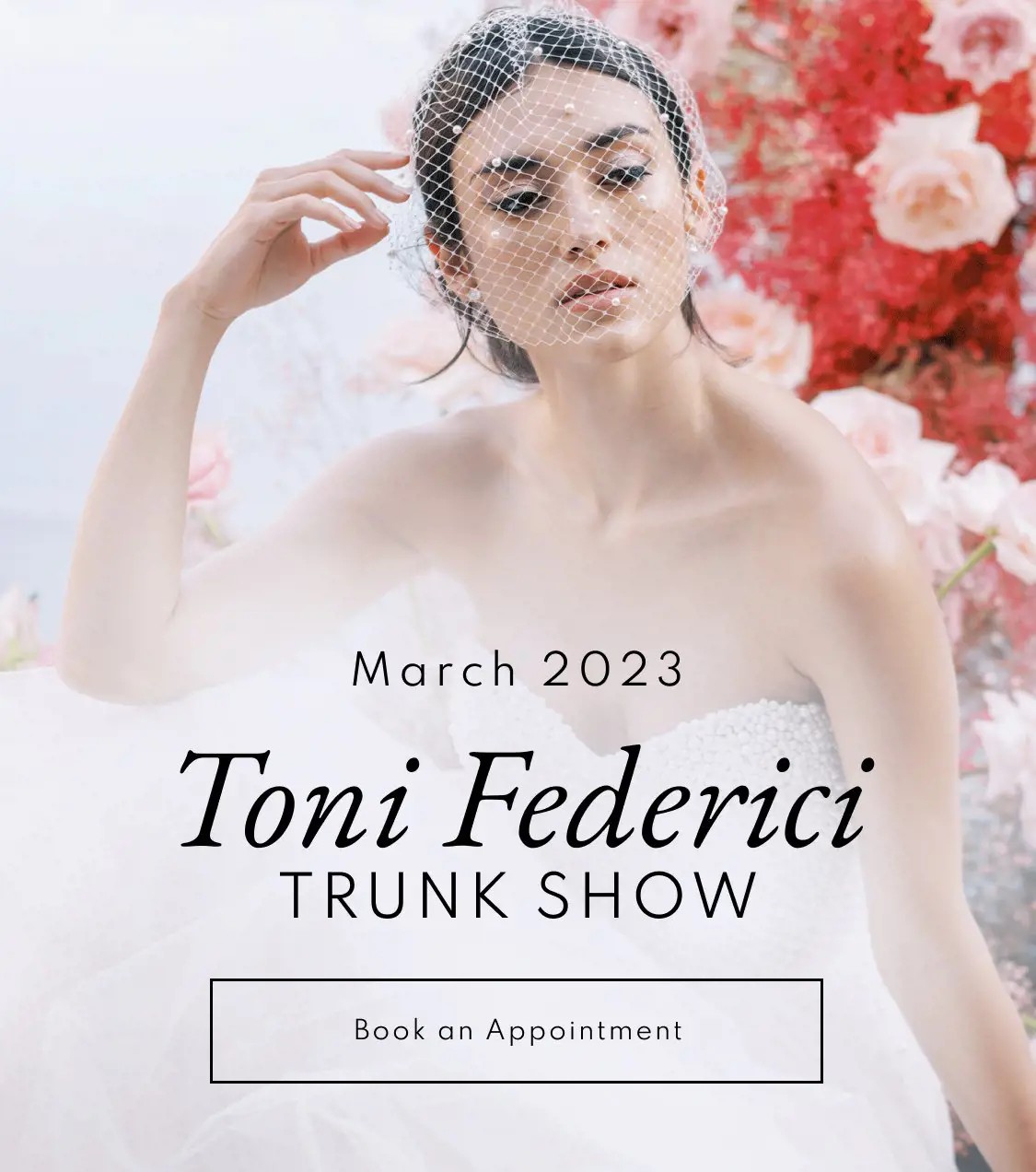 tonifederici2023